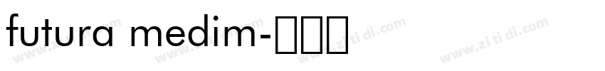 futura medim字体转换